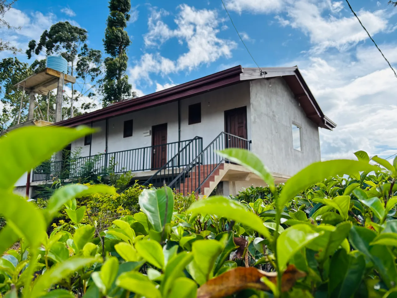 Ella Mountain Palace from the Tea Fields