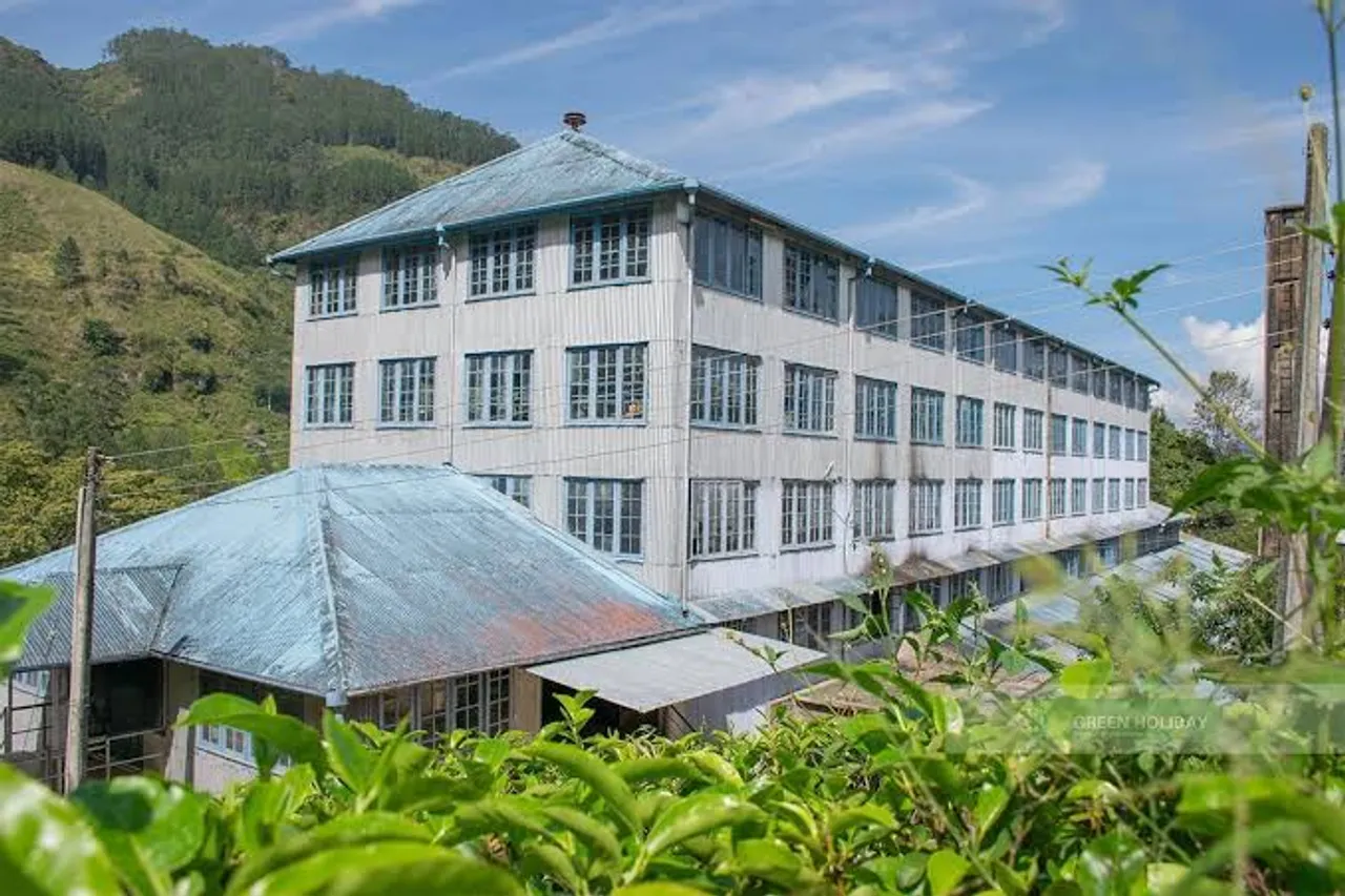 Uva Halpewatte Tea factory